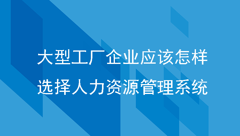 人力资源软件 