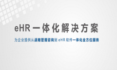 2024人事管理系统品牌排行